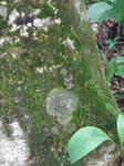 RIMG1249.JPG