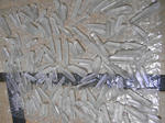 RIMG1288.JPG