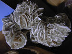 RIMG1430.JPG