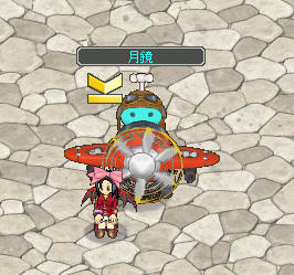 ほんとに欲しかったので嬉しい(´;ω;`)