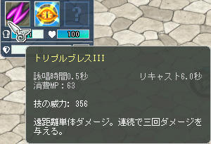 弓……?魔法じゃないよね……??