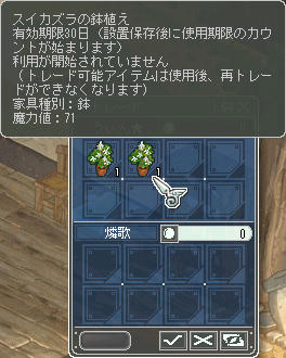 ｷｭ━.+ﾟ*(оﾟдﾟо)*ﾟ+.━ﾝ☆