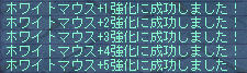 5強(*゚Д゚)/ダー゜+。