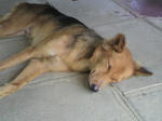 2012031810370000.jpg
