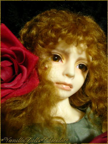 03.jpg