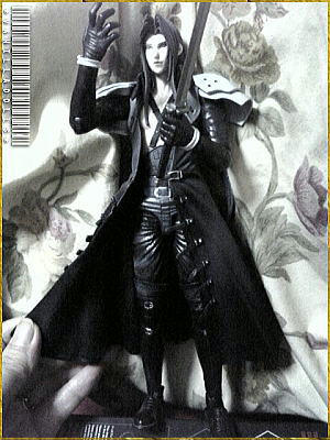 p6.jpg