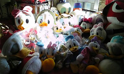 DVC00045.JPG