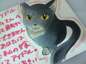 SH3J0350.jpg