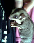 IMG0795A.jpg