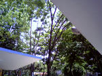 IMG0797A.jpg