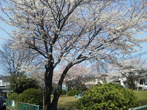 SH3E0059.JPG