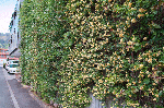 SDIM0061.gif