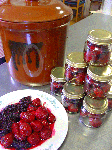 DSC03393.gif