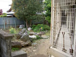 PICT4715.jpg