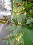 PICT4889.jpg
