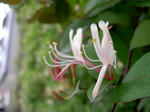 PICT4969.jpg