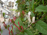 PICT4972.jpg