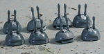 yamato_500_11.jpg
