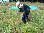 DSCN0029_S.jpg