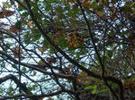DSCN0043.jpg