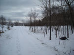 081126_2.jpg