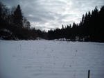 081126_4.jpg