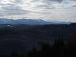 081126_6.jpg