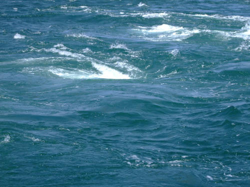 DSCF2055.JPG