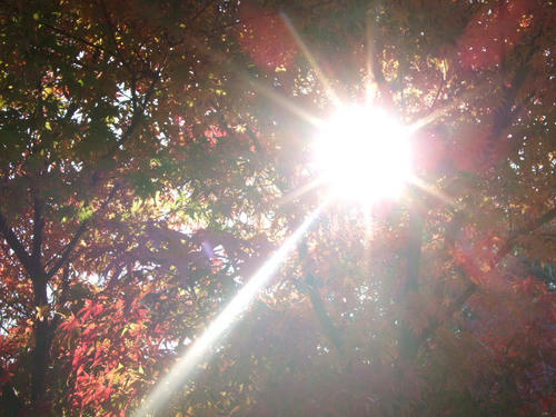 DSCF2436.jpg