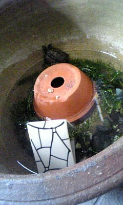 090616_081306.jpg