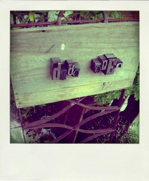 DSCF2303-pola.jpg