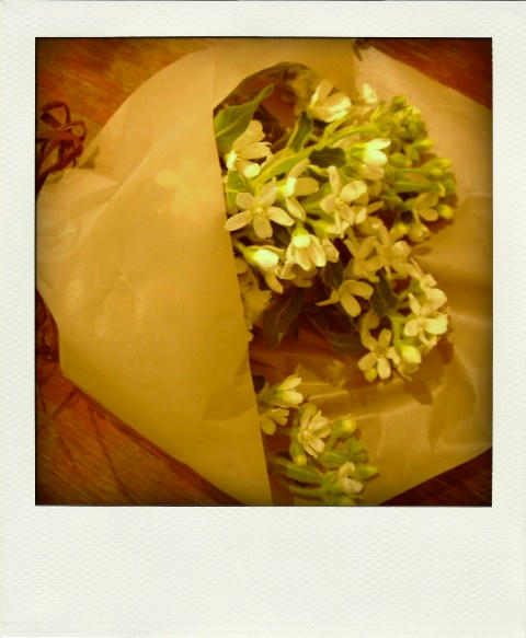 DSCF2729-pola.jpg