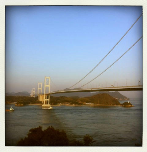 IMG_1130-pola.jpg