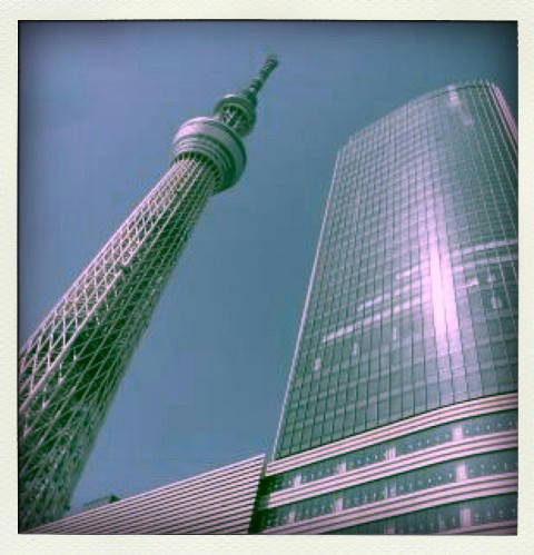 bbbbb-pola01.jpg