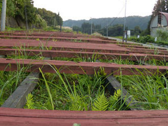 2003年作品