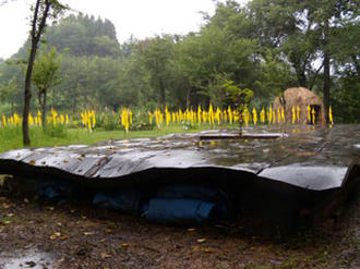 雨で狐は空仰ぐ／06感知器も一緒に