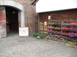 DSC00335.JPG