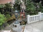 DSC00382.JPG
