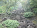 DSC01707.JPG