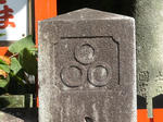 DSC01501.JPG