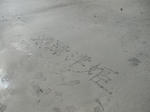 DSC03120.JPG