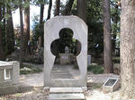 51e02cc4.JPG