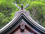 DSC00107.JPG