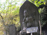 DSC00693.JPG