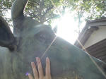 DSC05685.JPG