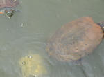 DSC06197.JPG