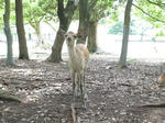DSC06214.JPG
