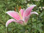 DSC06400.JPG