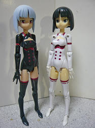 飛鳥夜戦仕様＆通常仕様
