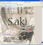 s.aki_hp_top_pic.jpg